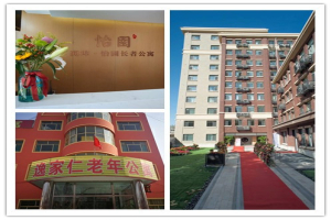 组合1